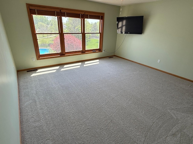 937 Briar Glen Ln, Woodbury, MN 55129 - carpeted spare room with healthy amount of natural light and baseboards