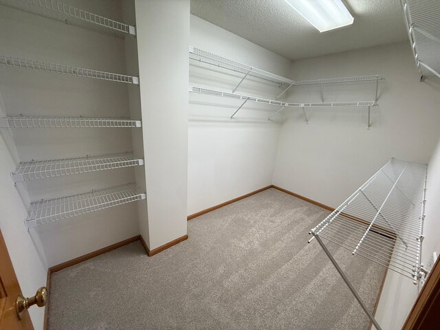 937 Briar Glen Ln, Woodbury, MN 55129 - spacious closet featuring carpet floors