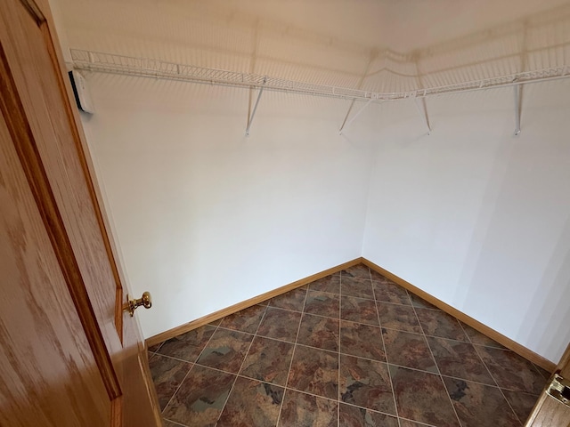 937 Briar Glen Ln, Woodbury, MN 55129 - view of walk in closet