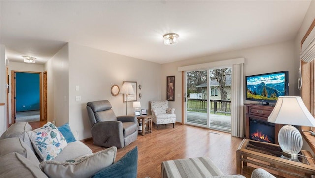 living room featuring wood finished floors
