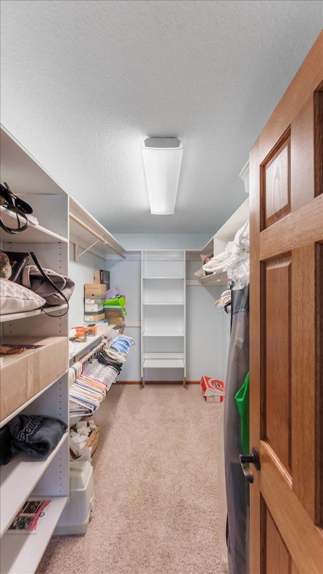 walk in closet with carpet flooring