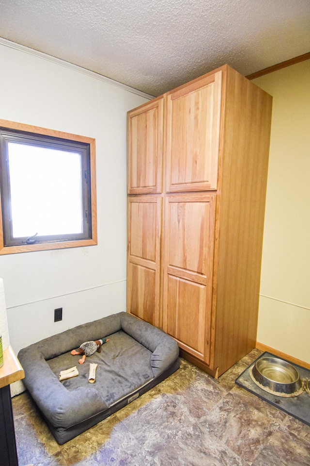 11287 135th Ave NE, Thief River Falls, MN 56701 - interior space with crown molding and a textured ceiling