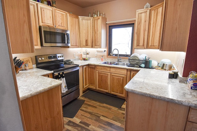 11287 135th Ave NE, Thief River Falls, MN 56701 - kitchen with light stone countertops, light brown cabinetry, appliances with stainless steel finishes, dark wood-style flooring, and a sink