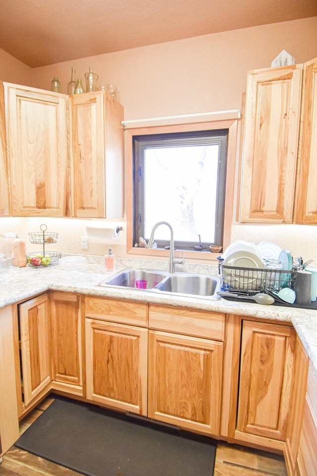 11287 135th Ave NE, Thief River Falls, MN 56701 - kitchen with light countertops, light brown cabinets, and a sink