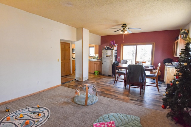 11287 135th Ave NE, Thief River Falls, MN 56701 - dining area with a textured ceiling, baseboards, wood finished floors, and ceiling fan