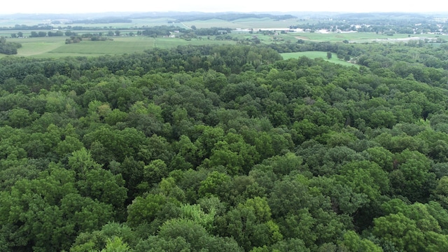 W814 County Road Tt, Mondovi, WI 54755 - drone / aerial view with a view of trees