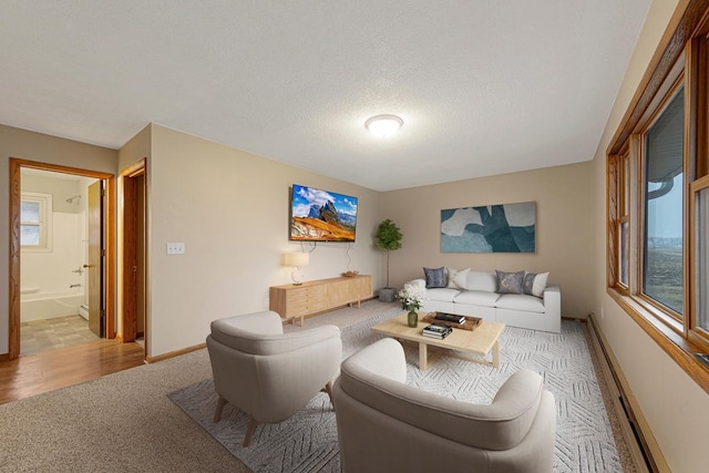 36530 251st Ave, Le Center, MN 56057 - living room featuring baseboards and carpet
