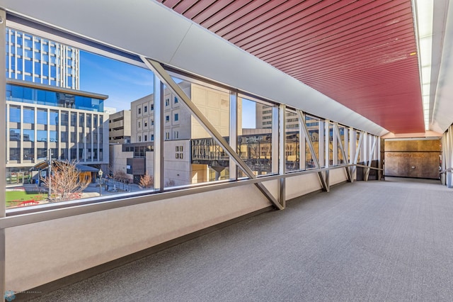 exterior space with carpet