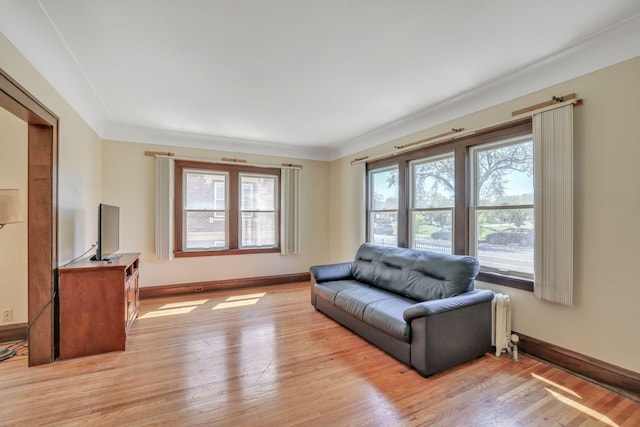 living room with baseboards and light wood-style floors