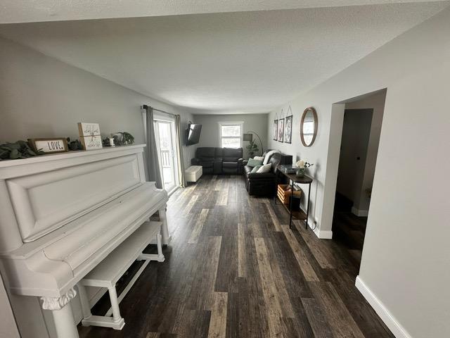 12787 Lumberjack Rd NW, Shevlin, MN 56676 - living area with dark wood-style floors and baseboards