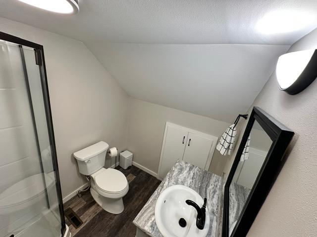 12787 Lumberjack Rd NW, Shevlin, MN 56676 - bathroom featuring wood finished floors, vaulted ceiling, a stall shower, toilet, and vanity