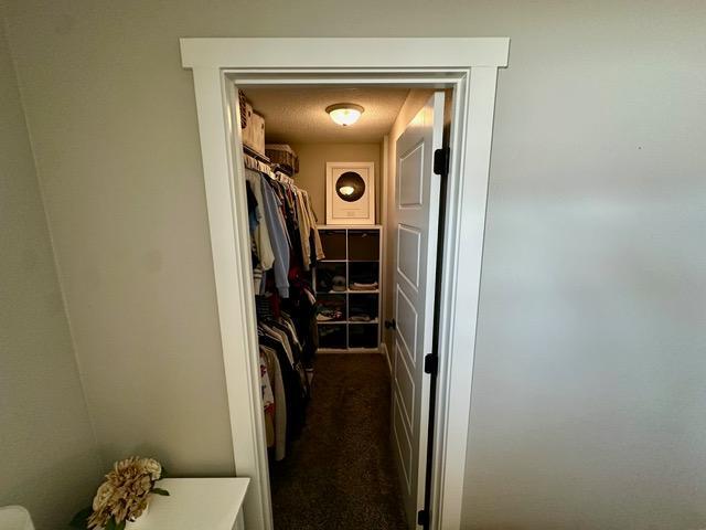 12787 Lumberjack Rd NW, Shevlin, MN 56676 - spacious closet with dark colored carpet