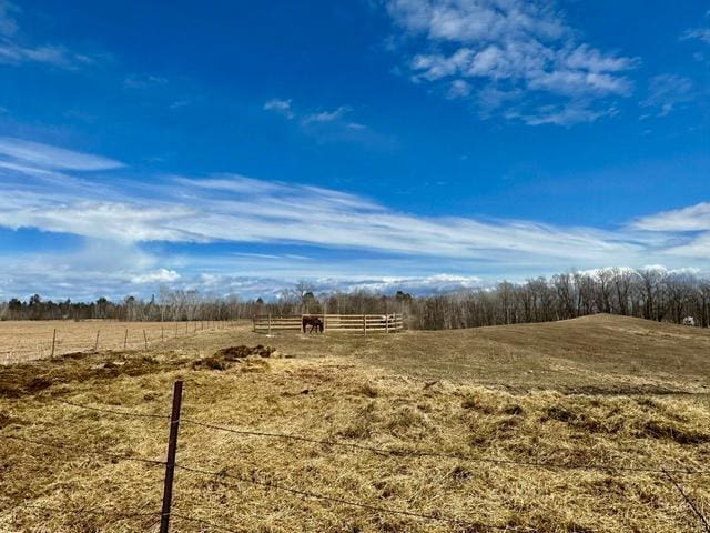 12787 Lumberjack Rd NW, Shevlin, MN 56676 - view of yard with a rural view