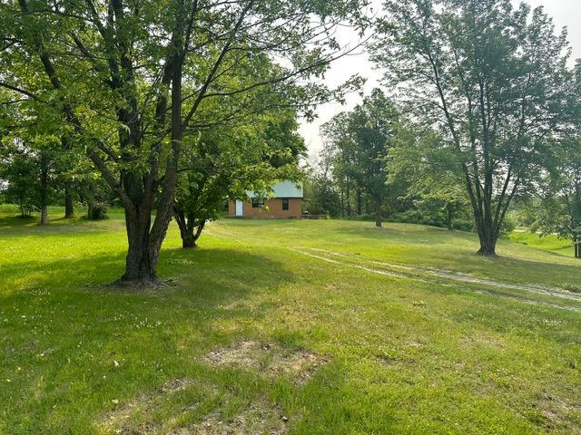 12787 Lumberjack Rd NW, Shevlin, MN 56676 - view of green lawn
