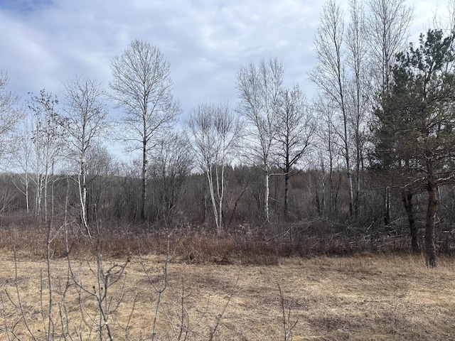 6558 Hermantown Rd, Solway Twp, MN 55720
