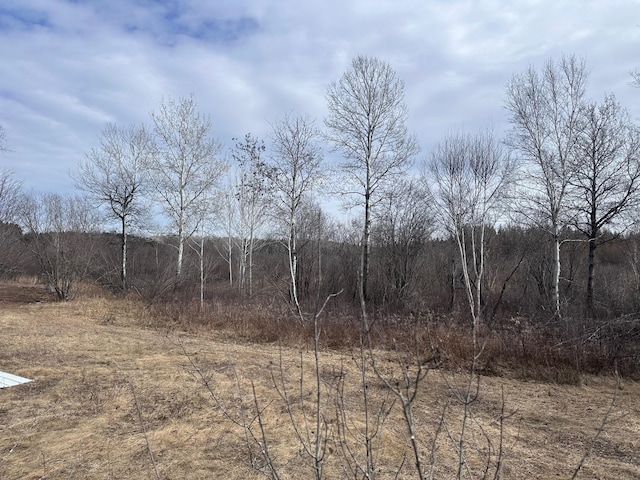 6558 Hermantown Rd, Solway Twp, MN 55720