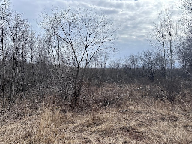 6558 Hermantown Rd, Solway Twp, MN 55720