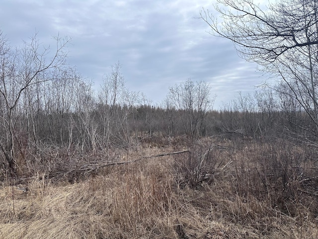 6558 Hermantown Rd, Solway Twp, MN 55720