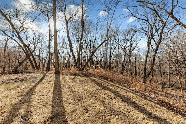 567 Forest Ln, Medford, MN 55049 - view of road