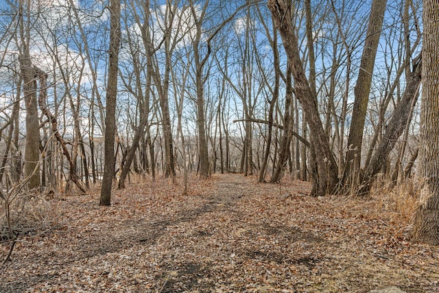567 Forest Ln, Medford, MN 55049 - view of nature