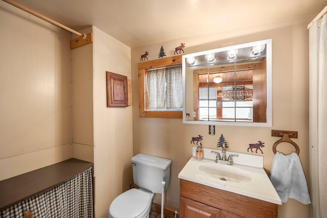 bathroom with toilet and vanity