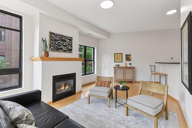 3707 Grand Way Unit 101, Saint Louis Park, MN 55416 - living area featuring wood finished floors, a glass covered fireplace, and baseboards