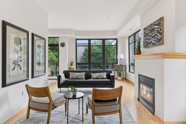 3707 Grand Way Unit 101, Saint Louis Park, MN 55416 - living area with a glass covered fireplace, light wood-style flooring, and baseboards