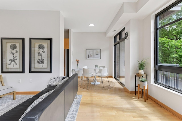 3707 Grand Way Unit 101, Saint Louis Park, MN 55416 - living area with light wood-type flooring and baseboards