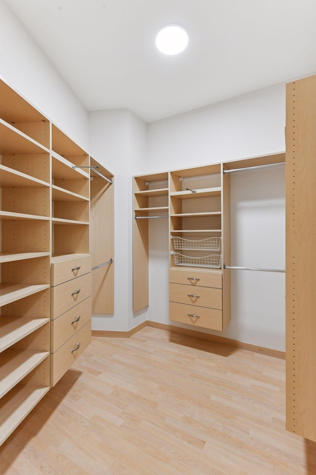3707 Grand Way Unit 101, Saint Louis Park, MN 55416 - walk in closet featuring light wood-style floors