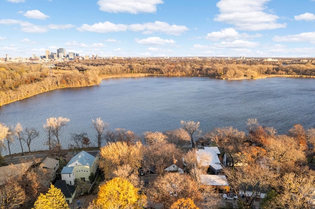 1944 Cedar Lake Pkwy, Minneapolis, MN 55416 - view of water feature