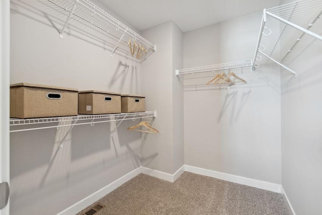 walk in closet featuring visible vents and carpet