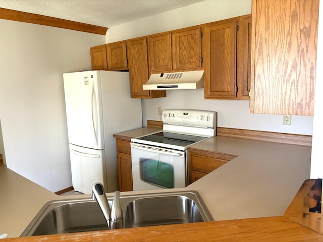 kitchen with under cabinet range hood, a sink, white appliances, brown cabinetry, and a textured ceiling