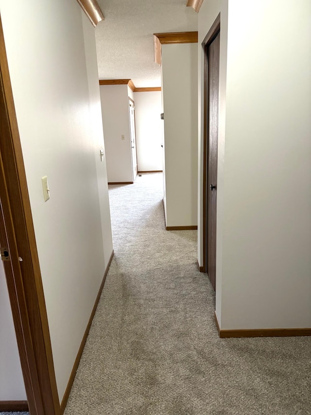 hall with baseboards, carpet, a textured ceiling, and ornamental molding