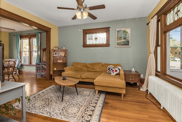 living area with radiator heating unit, a ceiling fan, and light wood finished floors