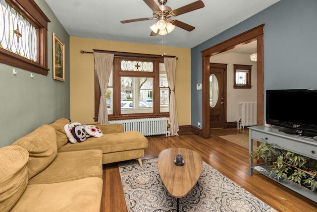 living room featuring a ceiling fan, a healthy amount of sunlight, wood finished floors, and radiator