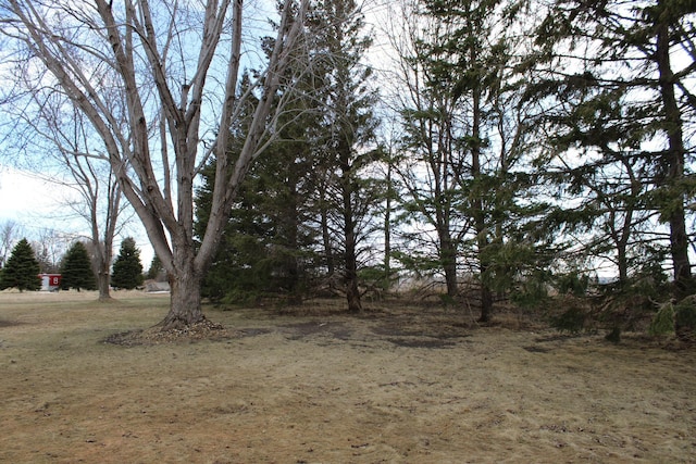 46377 Sunset Ct, Morris, MN 56267 - view of yard