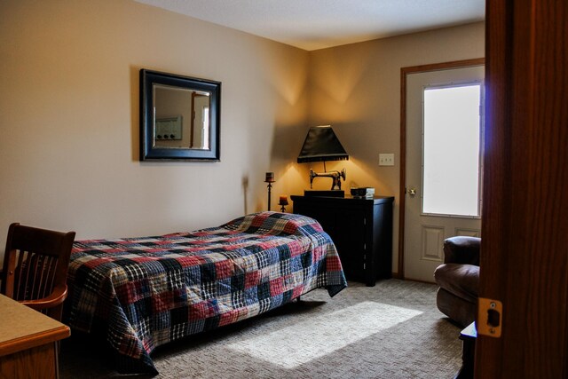 46377 Sunset Ct, Morris, MN 56267 - view of carpeted bedroom