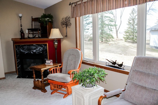 46377 Sunset Ct, Morris, MN 56267 - living area with carpet floors and a healthy amount of sunlight