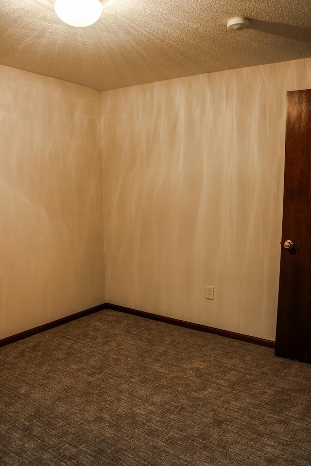 46377 Sunset Ct, Morris, MN 56267 - spare room featuring carpet and a textured ceiling