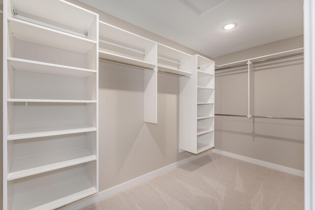 2315 Simply Living Ln Unit C, Hudson, WI 54016 - spacious closet with carpet