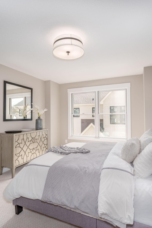 2315 Simply Living Ln Unit C, Hudson, WI 54016 - bedroom featuring carpet flooring