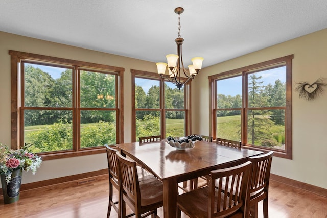 8871 Kahl Way NE, Otsego, MN 55362 - dining room featuring a chandelier and light wood finished floors