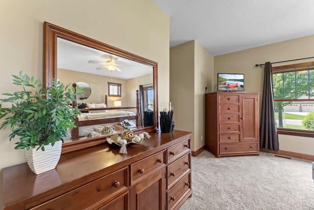 8871 Kahl Way NE, Otsego, MN 55362 - detailed view of carpet flooring and ceiling fan