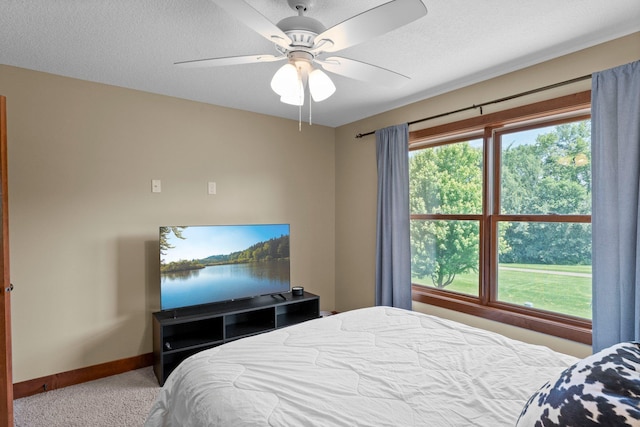 8871 Kahl Way NE, Otsego, MN 55362 - bedroom with carpet and a ceiling fan