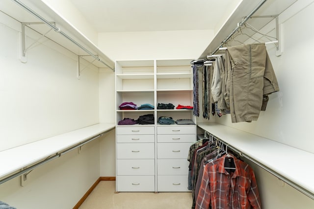 3065 Grand View Ln SW, Byron, MN 55920 - walk in closet featuring light colored carpet