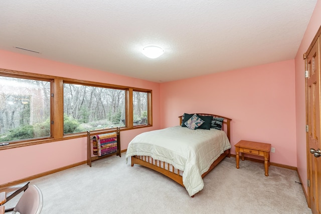 3065 Grand View Ln SW, Byron, MN 55920 - bedroom with baseboards, a textured ceiling, and light carpet