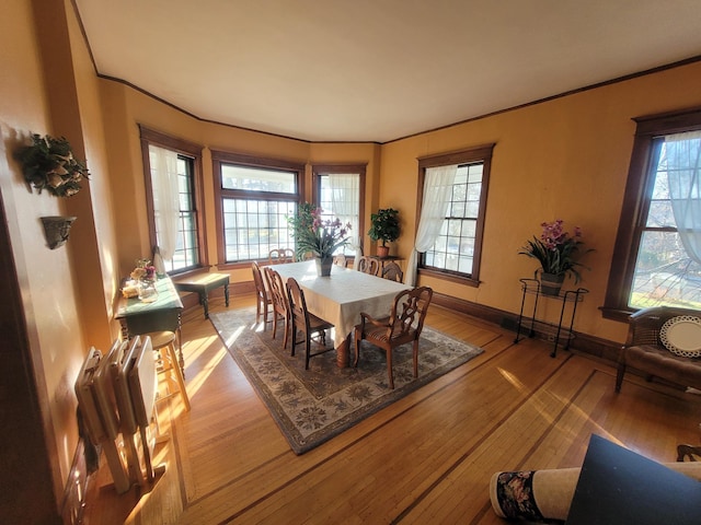 120 Maryland St, Saint Croix Falls, WI 54024 - photo 2