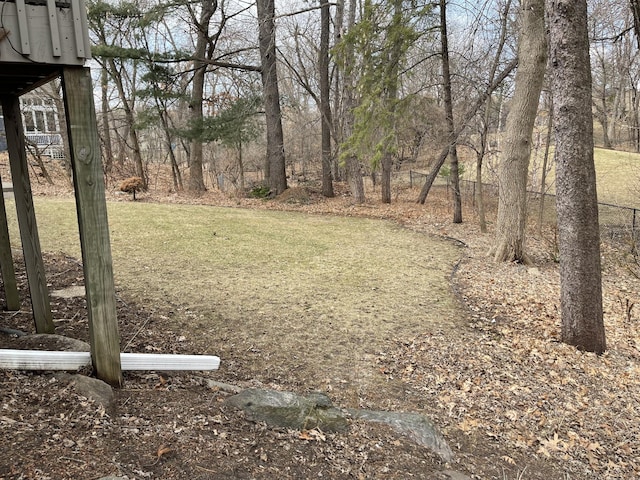 view of yard