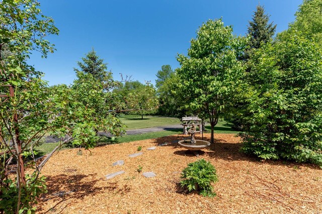 190 Stony Creek Rd, Mankato, MN 56001 - view of yard