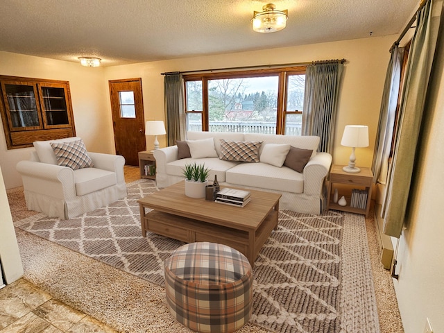 14199 Riverbend Trl, Rocksbury Twp, MN 56701 - living area with a textured ceiling